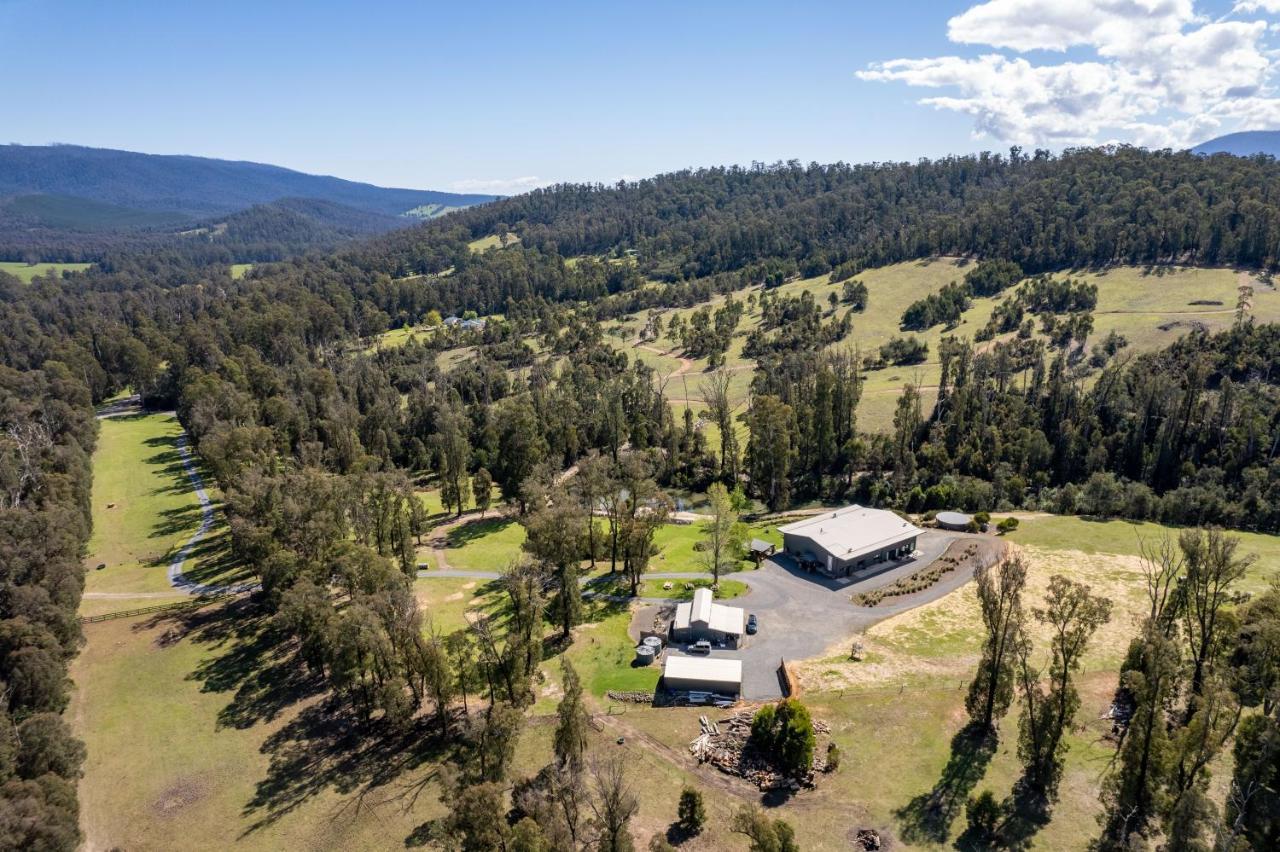 Saladin Lodge Narbethong Kültér fotó