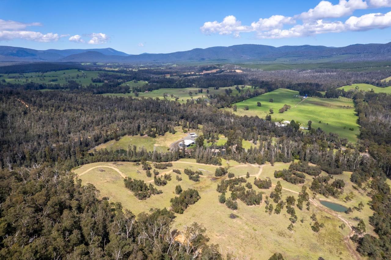 Saladin Lodge Narbethong Kültér fotó