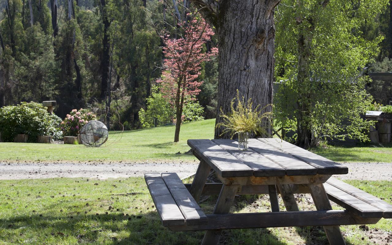 Saladin Lodge Narbethong Kültér fotó